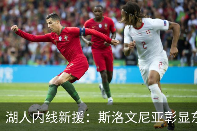 湖人内线新援：斯洛文尼亚彰显东契奇的领袖气质，我们都会追随他
