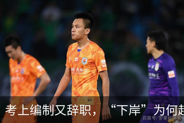 考上编制又辞职，“下岸”为何越来越多